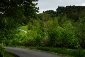 rallye Český krumlov 2024 v. neumann m. hlavatý 004